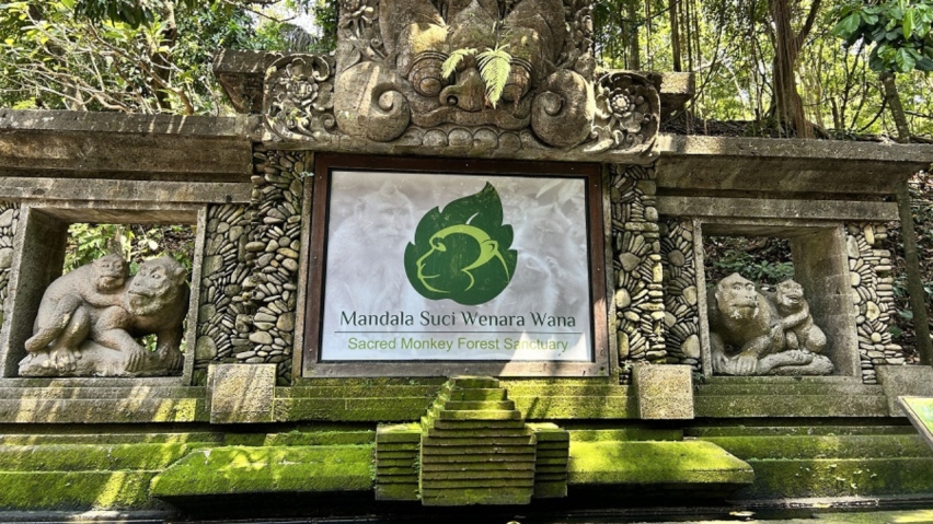 Studi Kasus - Pemasangan Tripod Turnstile di Monkey Forest Ubud, Bali